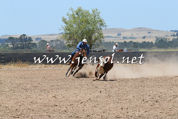 BraidwoodCampdraft2014_0909