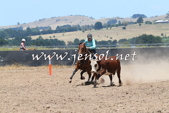 BraidwoodCampdraft2014_1002