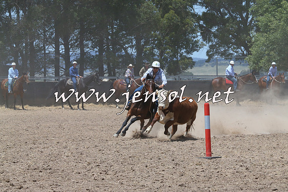BraidwoodCampdraft2014_0978