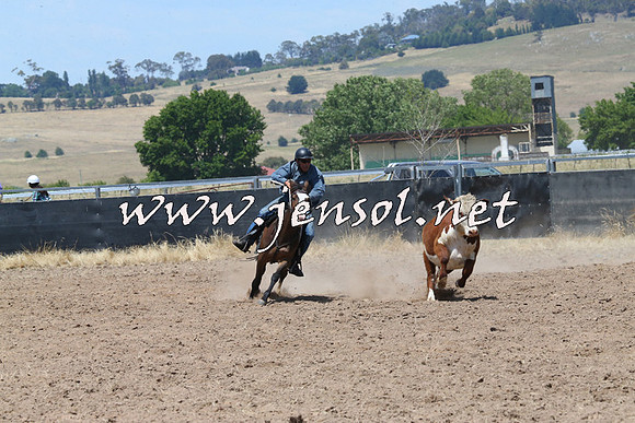 BraidwoodCampdraft2014_0842