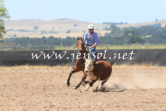 BraidwoodCampdraft2014_0683