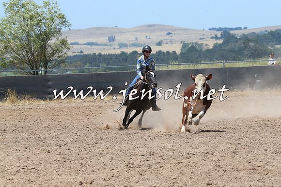 BraidwoodCampdraft2014_0802