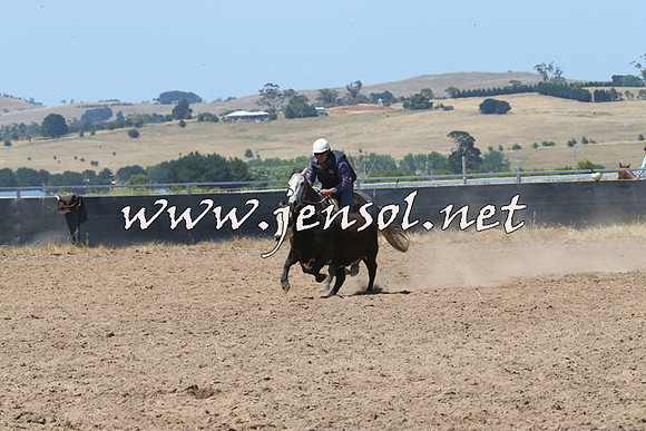 BraidwoodCampdraft2014_0730