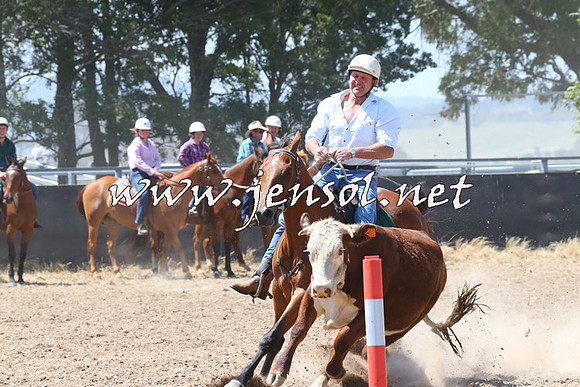 BraidwoodCampdraft2014_0702
