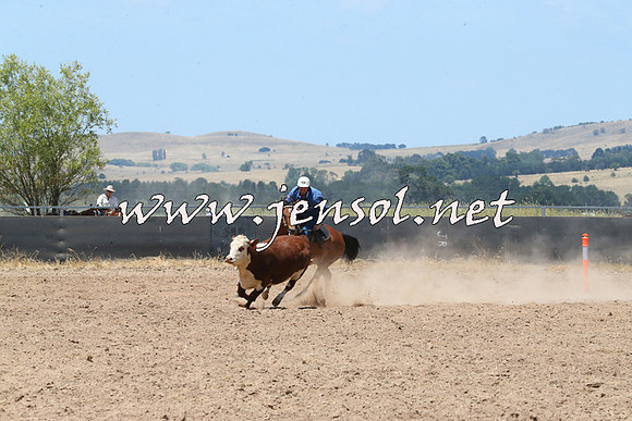 BraidwoodCampdraft2014_0913