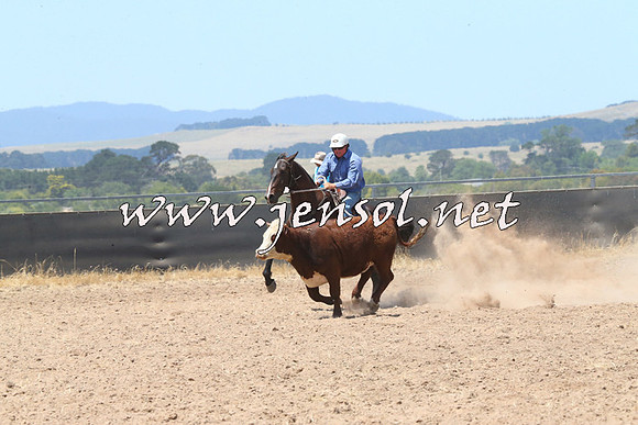 BraidwoodCampdraft2014_0895