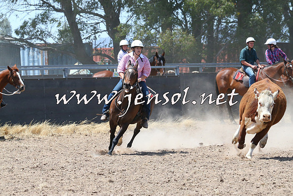 BraidwoodCampdraft2014_0822