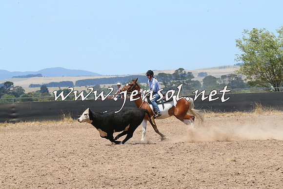 BraidwoodCampdraft2014_0939