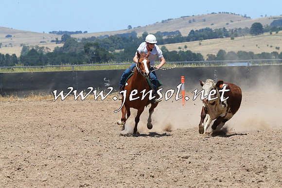 BraidwoodCampdraft2014_0954