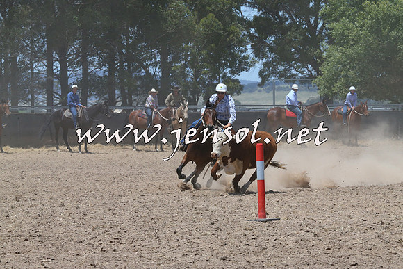 BraidwoodCampdraft2014_0977