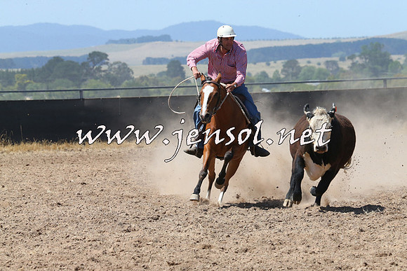 BraidwoodCampdraft2014_0716