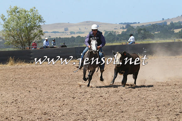BraidwoodCampdraft2014_0732