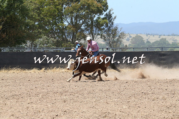 BraidwoodCampdraft2014_0866