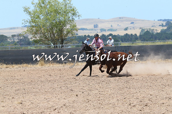 BraidwoodCampdraft2014_0928