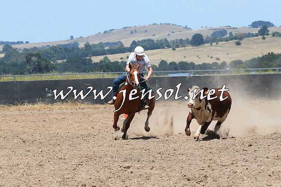 BraidwoodCampdraft2014_0957