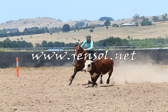BraidwoodCampdraft2014_1004