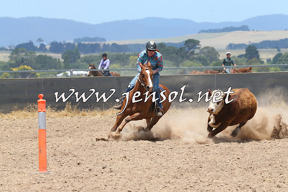 BraidwoodCampdraft2014_1061