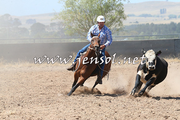 BraidwoodCampdraft2014_0698