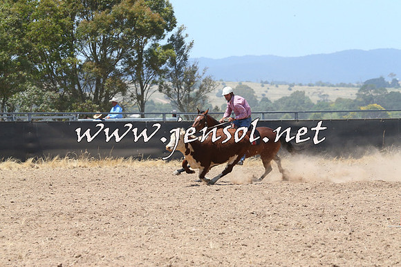 BraidwoodCampdraft2014_0867