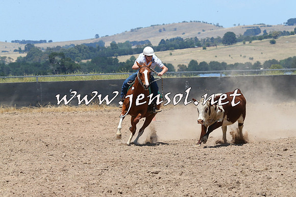 BraidwoodCampdraft2014_0952