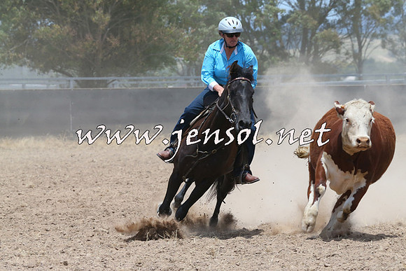 BraidwoodCampdraft2014_1076