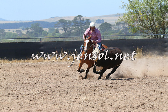 BraidwoodCampdraft2014_0707