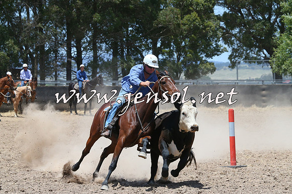 BraidwoodCampdraft2014_1052