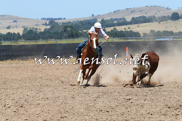 BraidwoodCampdraft2014_0955