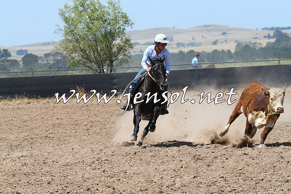 BraidwoodCampdraft2014_0764
