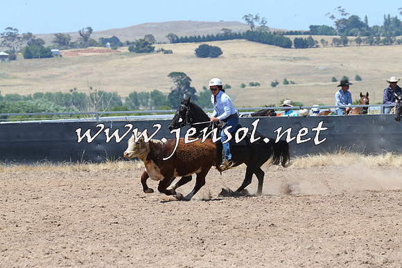 BraidwoodCampdraft2014_0758