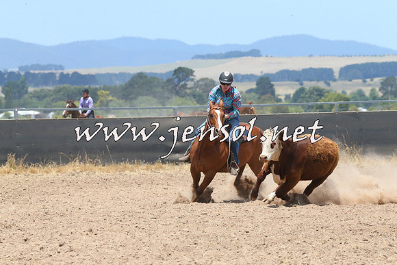 BraidwoodCampdraft2014_1065