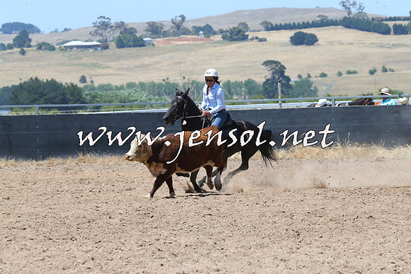 BraidwoodCampdraft2014_0757