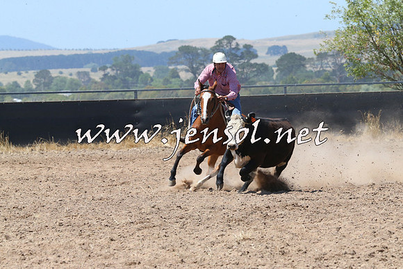 BraidwoodCampdraft2014_0704
