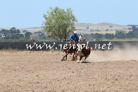 BraidwoodCampdraft2014_0914
