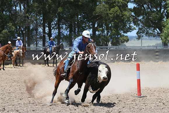 BraidwoodCampdraft2014_1055
