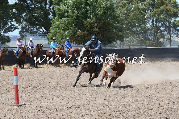 BraidwoodCampdraft2014_0852