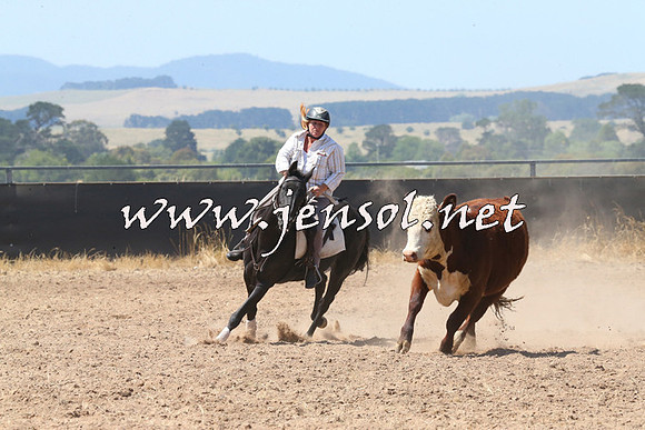 BraidwoodCampdraft2014_0690