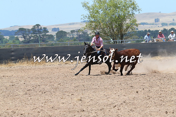 BraidwoodCampdraft2014_0926