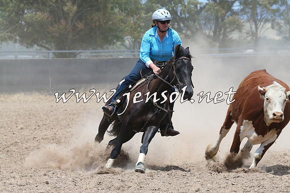 BraidwoodCampdraft2014_1074