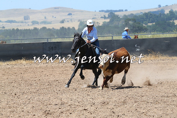 BraidwoodCampdraft2014_0765