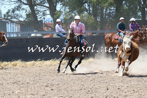 BraidwoodCampdraft2014_0823