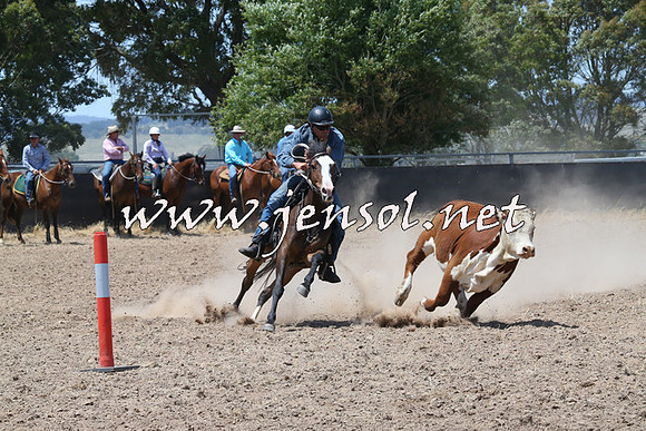 BraidwoodCampdraft2014_0859