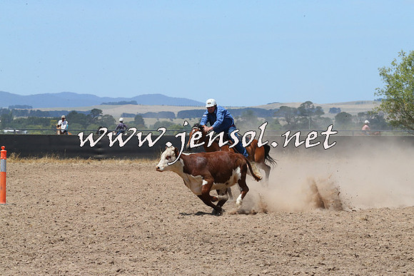 BraidwoodCampdraft2014_0916