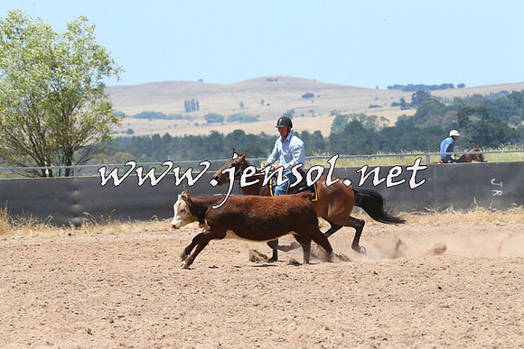 BraidwoodCampdraft2014_0889