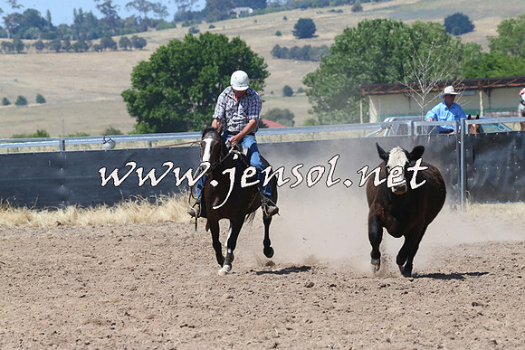 BraidwoodCampdraft2014_0726
