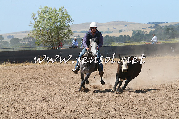 BraidwoodCampdraft2014_0735
