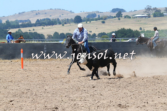 BraidwoodCampdraft2014_0796