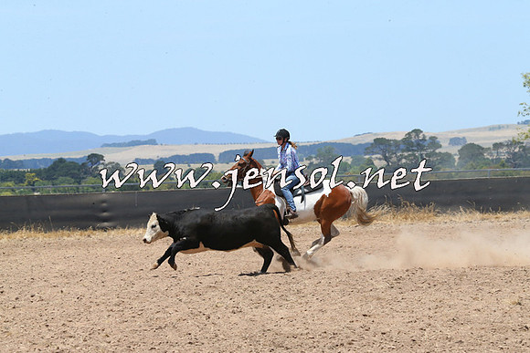 BraidwoodCampdraft2014_0938
