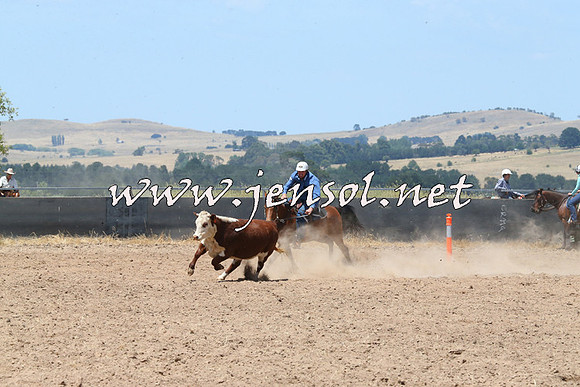 BraidwoodCampdraft2014_0911