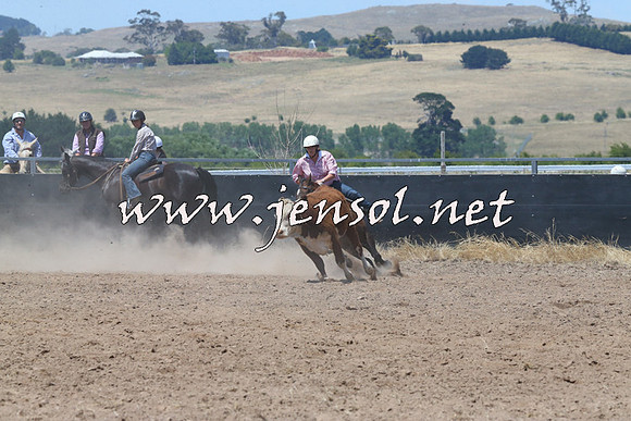 BraidwoodCampdraft2014_0820